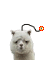 [bomb]al