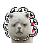 [flowerface]al