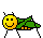 :-]bug